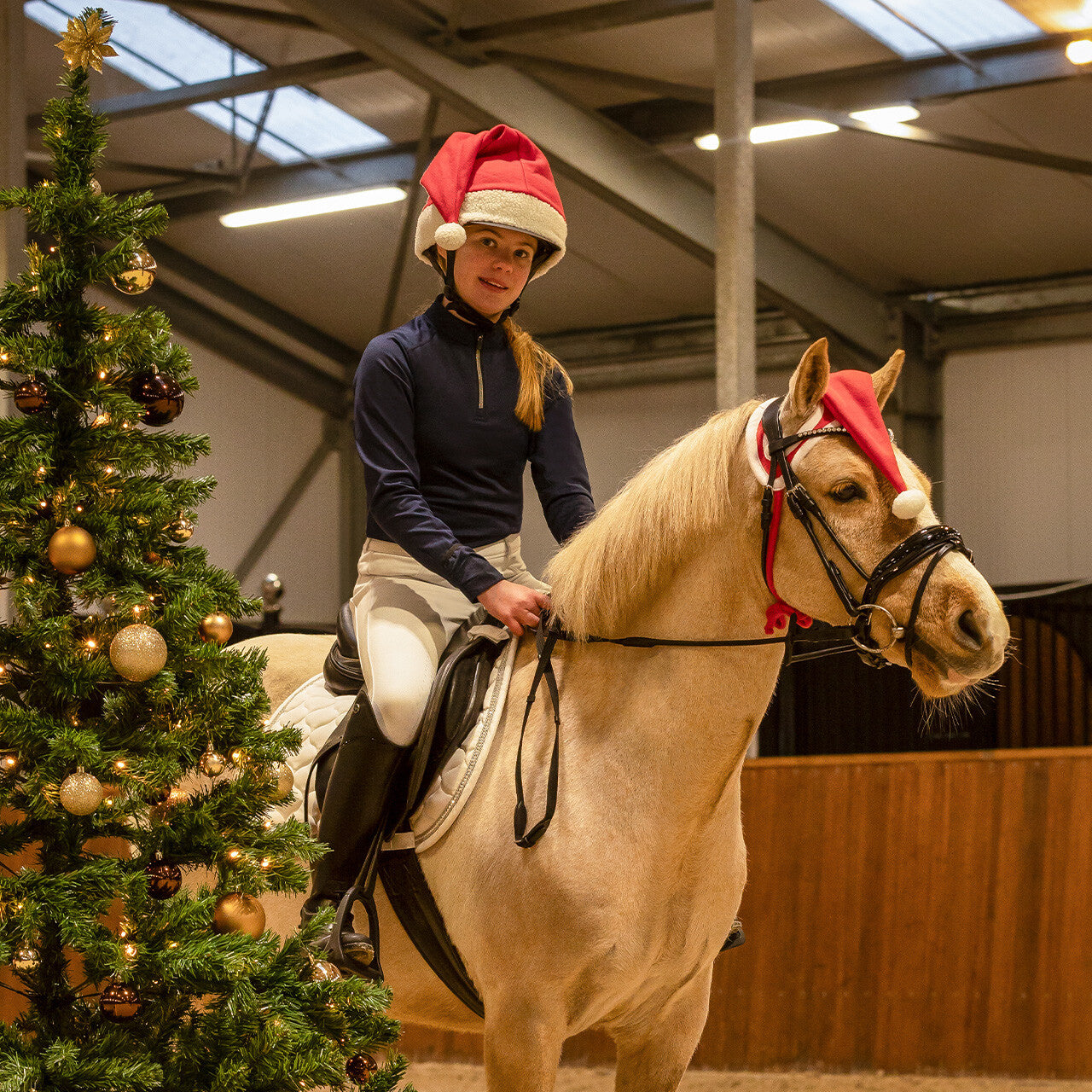 Julhatt häst
