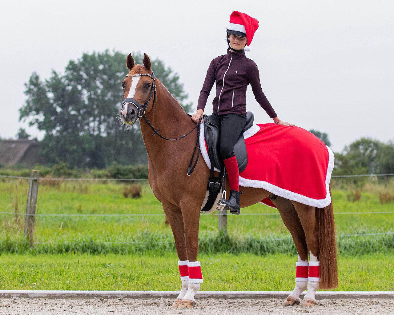Julhatt