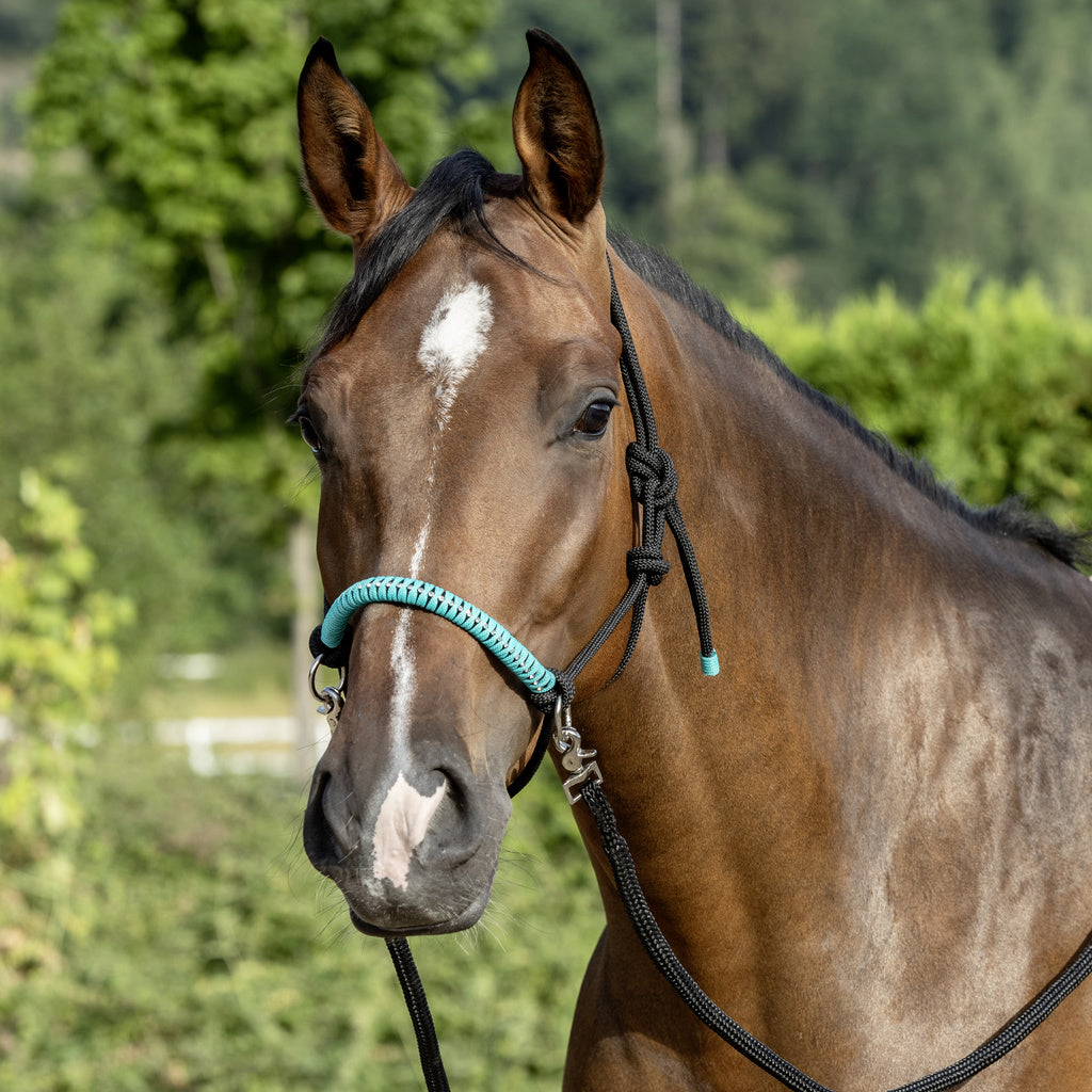 NY - repgrimma med tyglar - diamanter