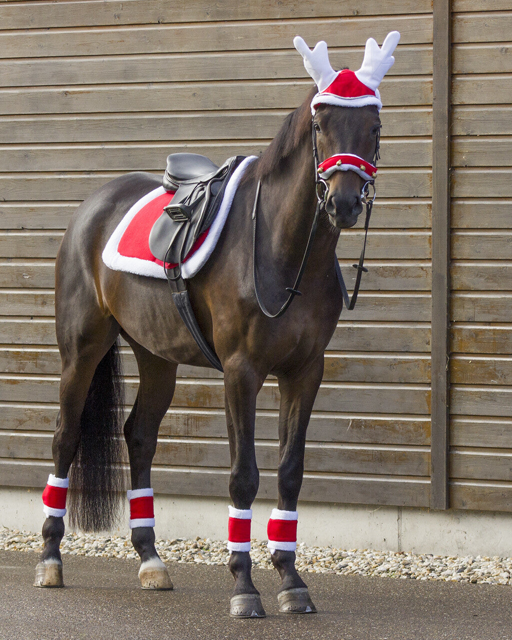 Julschabrak
