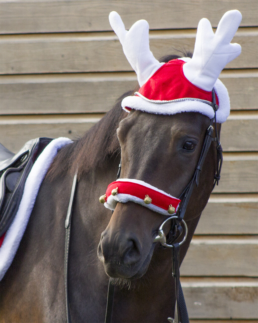 Renhatt jul