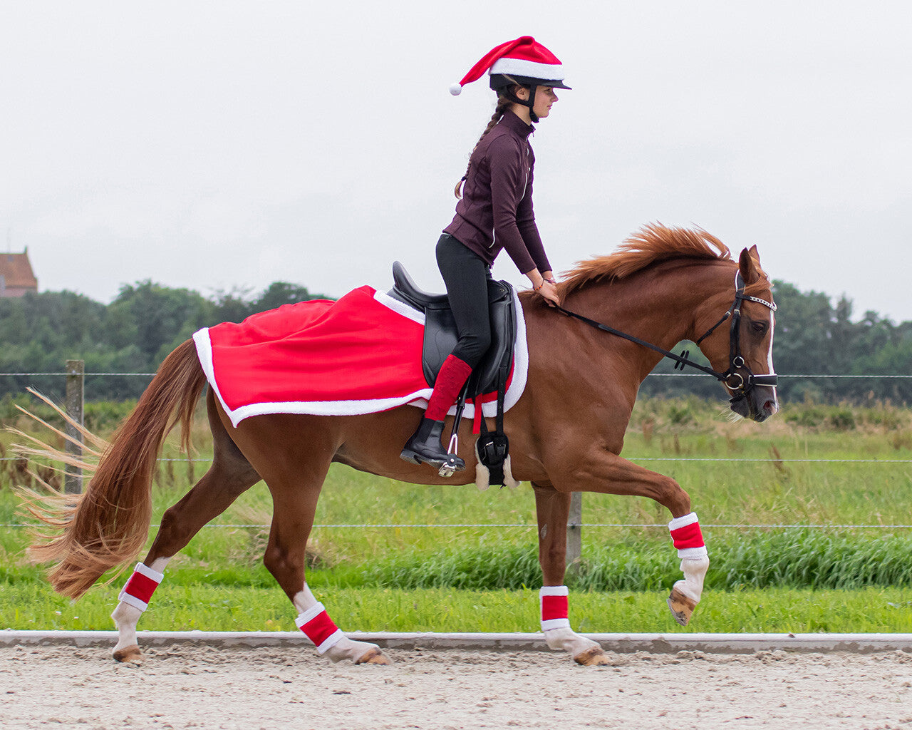 Julhatt