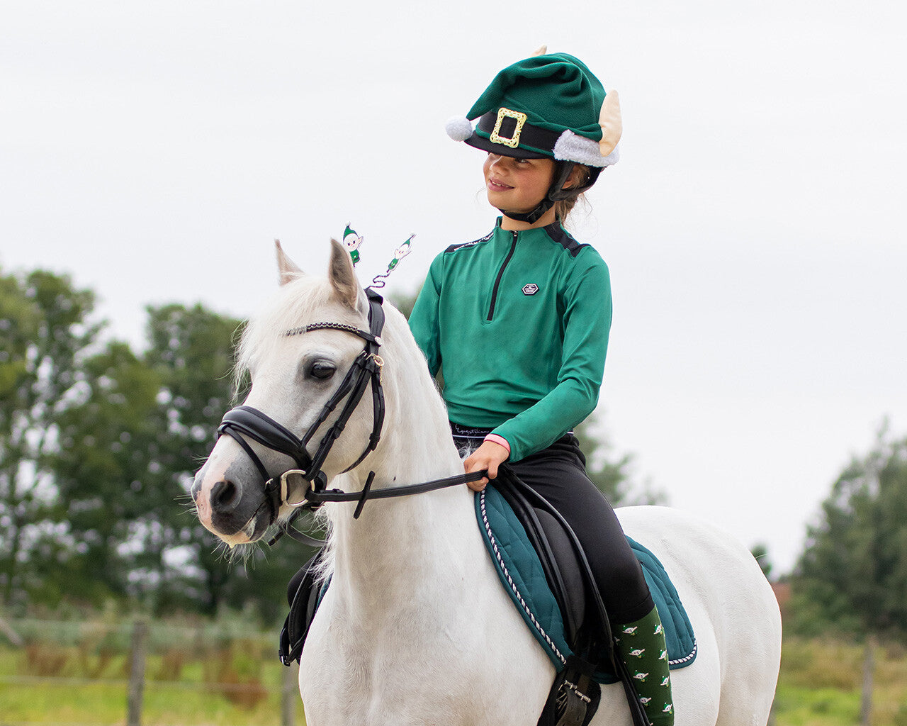 Julalvshjälmöverdrag